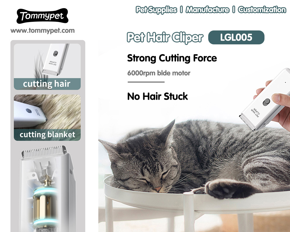 Usando los mejores cortes de aseo del cabello de gato de vacío profesional.