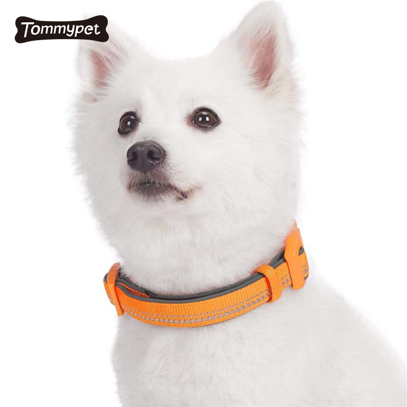 Collar de perro de mascota de entrenamiento personalizado de collares de perro de nailon ajustables de 2021 OEM