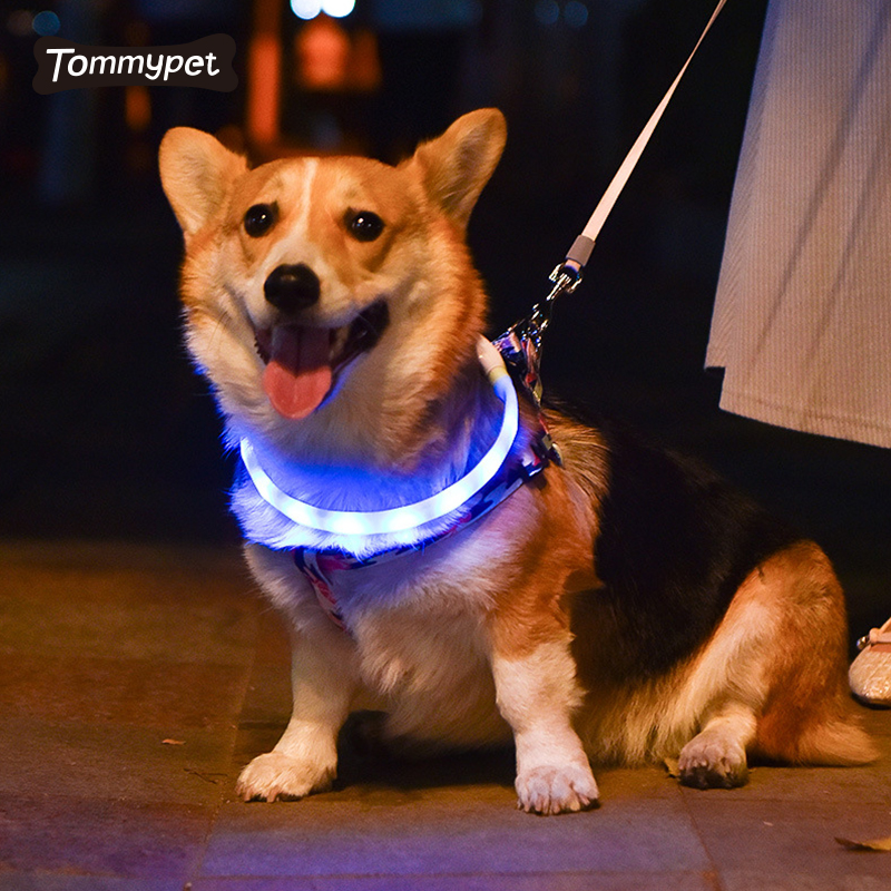 Carga USB de goma ajustable que brilla en la noche gato cachorro seguro collar intermitente luminoso luces LED collares para perros y mascotas