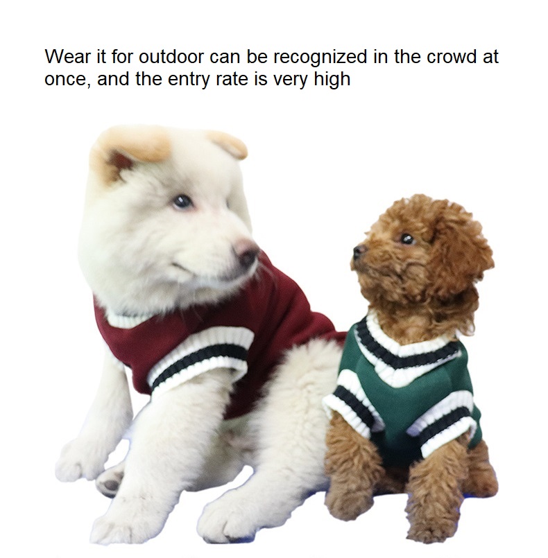Teddy Cat Fleece Warm Sports Winter Luxury Classic Cashmere Knitted Cotton Pet Blank Dog Sweater Ropa para perros pequeños