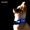 2021 Night Safety Parpadeante Resplandor en la oscuridad Impermeable Reflectante Nylon Pet LED Collar de perro