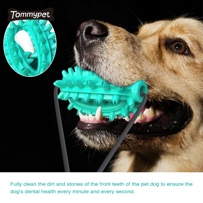 Mascota de goma de alta calidad Bolas dentadas Dientes Molienda Una sola ventosa Masticar Juguetes para perros