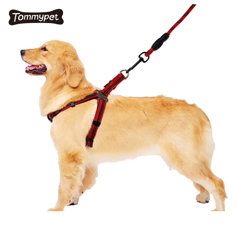 Conjunto de arnés de perro con correa de ajuste rápido acolchado de malla suave de nailon reflectante para entrenamiento para caminar