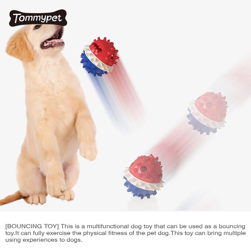 2021 flotando en el agua perro masticable masticable pelota de juguete the dogs bollocks